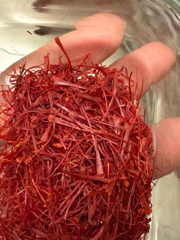 Image #1 from Bahiya